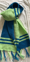CrochetMuffler.webp