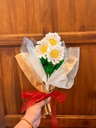 Daisies.webp