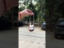 youtube - [Video]