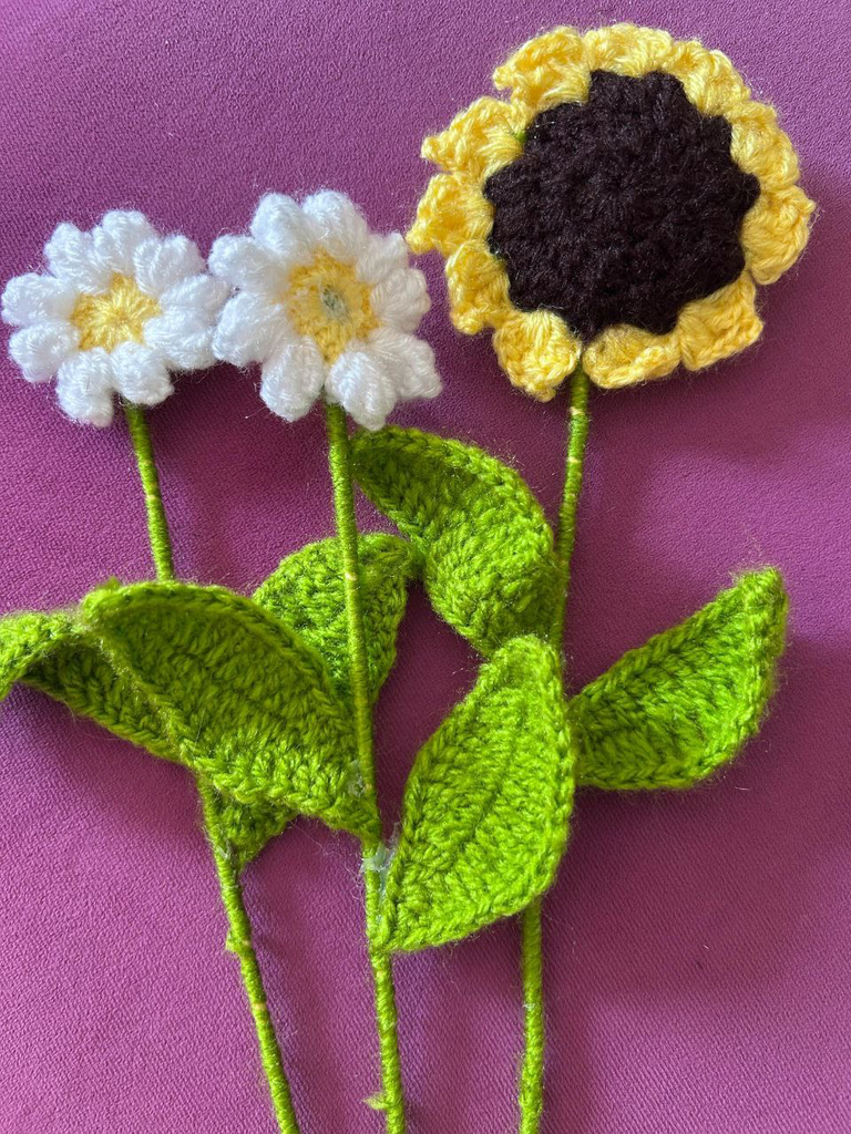 Sunflower/Daisy