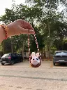 Car Mirror Hanging