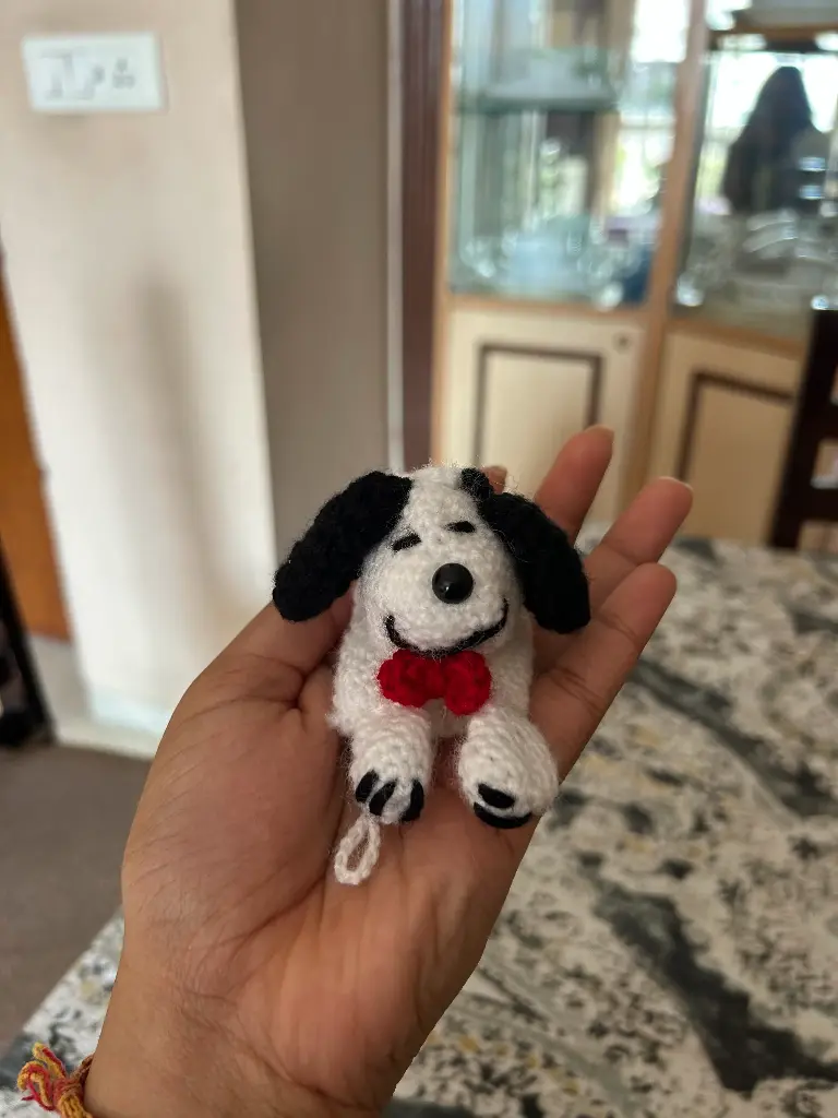 Car Key Holder