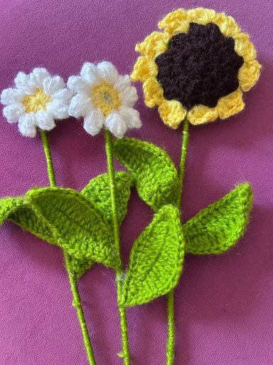 Sunflower/Daisy