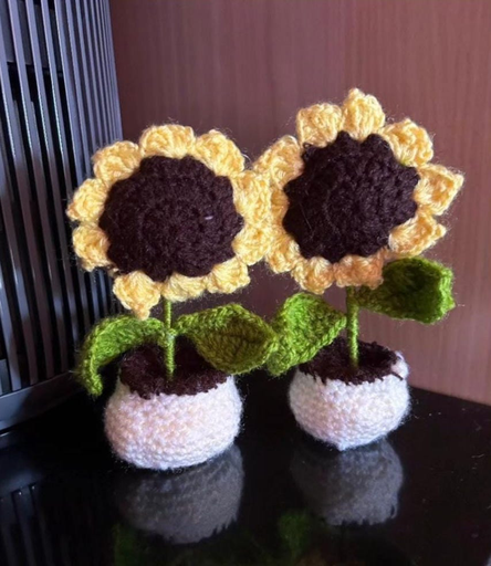 Sunflower Pot