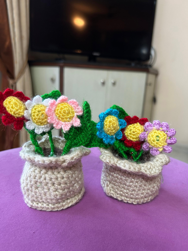 Mini Flowers Pot