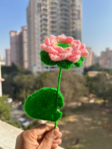 Lotus